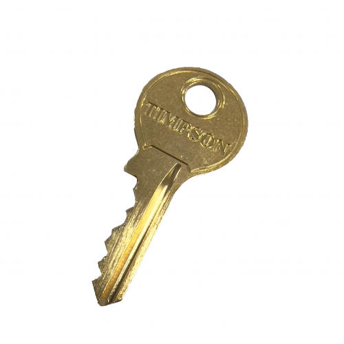 PASS spare key (2pcs)